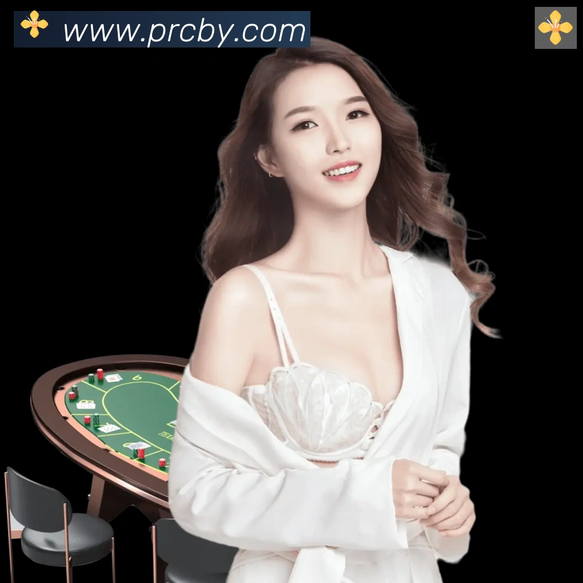 企业概况